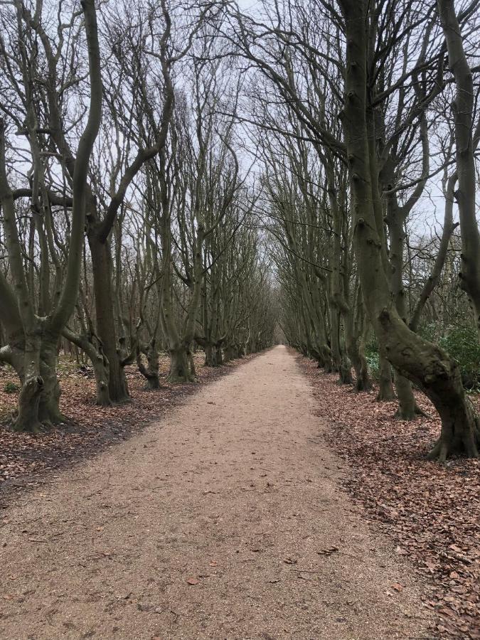 Dorpsdijk 49, Vrouwenpolder Vakantie المظهر الخارجي الصورة